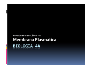 BIOLOGIA 4A Membrana Plasmática