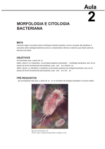 Microbiologia Geral.indd