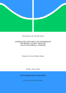 ATRIBUI&Ccedil;&Atilde;O DIN&Acirc;MICA DE ENDERE&Ccedil;OS EM REDES AD HOC