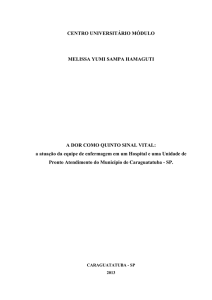 a atua&ccedil;&atilde;o da equipe de enfermagem em