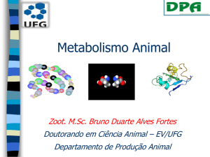 Metabolismo animal - EVZ
