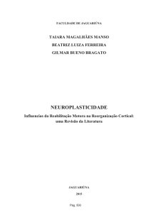 neuroplasticidade - Revista Intellectus