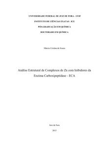 Análise Estrutural de Complexos de Zn com Inibidores da Enzima