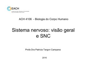 Sistema nervoso: visão geral e SNC e SNC