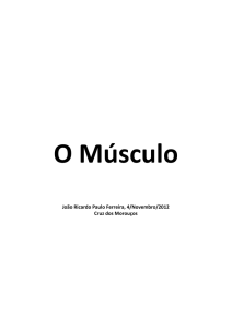 Fibras Musculares