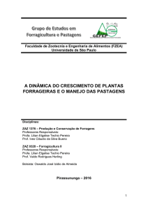 a dinâmica do crescimento de plantas forrageiras e o - PRP-USP