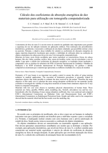 C&aacute;lculo dos coeficientes de absor&ccedil;&atilde;o energ&eacute;tica de dez materiais
