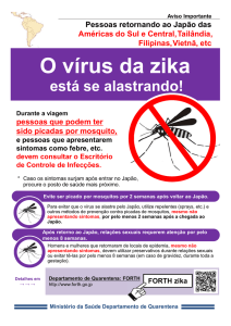 O vírus da zika