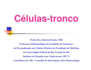 célula-tronco - Conselho de Informações sobre Biotecnologia