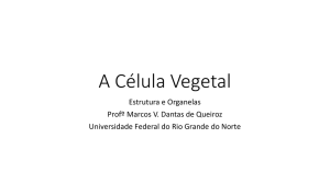 A Célula Vegetal