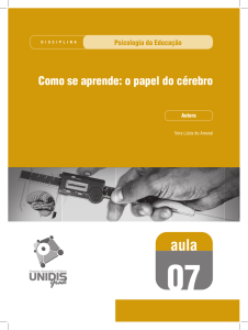 Como se aprende: o papel do c&eacute;rebro