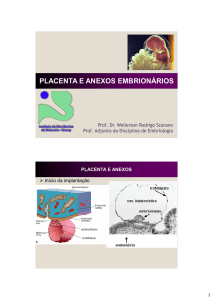 placenta e membranas fetais - IBB