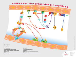 Sistema de Proteína C, Proteína S e Proteína Z