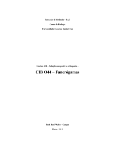 CIB O44 – Fanerógamas