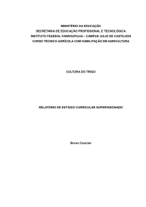 CANCIAN, Bruno. Cultura do trigo. Júlio de Castilhos: [s.n.]