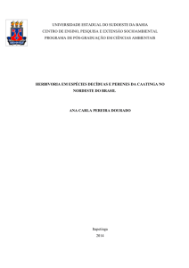 herbivoria em espécies decíduas e perenes da caatinga no