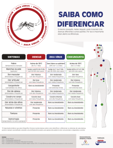 Infográfico Diferencia de Sintomas.ai - Roto
