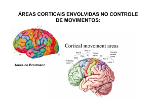 áreas corticais envolvidas no controle de - (LTC) de NUTES