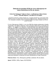 Detecção do genótipo ECSA do vírus chikungunya em casos