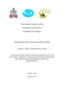 Universidade Federal do Pará Instituto de Geociências Faculdade