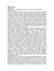 betula alba - Associação Brasileira de Medicina Complementar