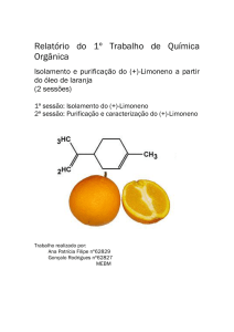 Relatório do 1º Trabalho de Química Orgânica