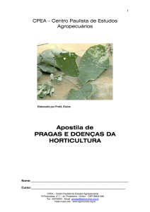 pragas e doenças da horticultura