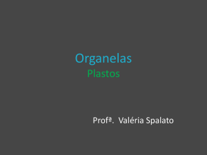 Organelas Plastos