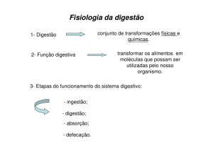 Fisiologia da digestão