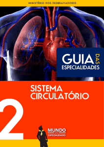 sistema circulatório - Mundo das Especialidades