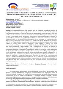 isolamento e caracterização de bactérias endofíticas e da rizosfera