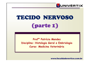 TECIDO NERVOSO (parte 1)