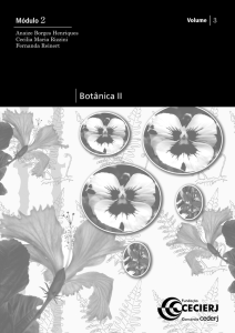 Botânica II - Teca CECIERJ