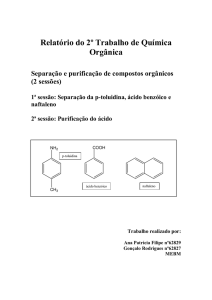 Relatório do 2º Trabalho de Química Orgânica