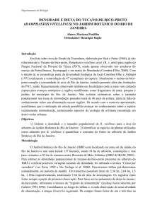 densidade e dieta do tucano-de-bico-preto (ramphastos - PUC-Rio