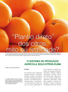 “Plantio direto” dos citros: mito ou realidade?1