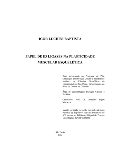 igor luchini baptista papel de e3 ligases na plasticidade muscular