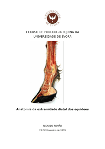 RRomao, 2005_Anatomia podal equideos