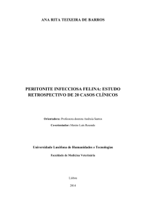 Dissertação de Mestrado PIF - Rita Barros