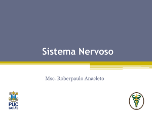 Sistema Nervoso Central (SNC)
