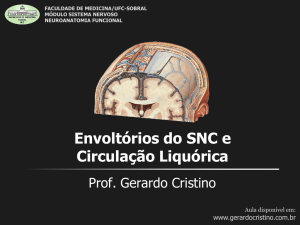 Envoltórios do SNC e Circulação Liquórica