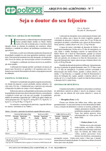 Seja o doutor do seu feijoeiro - IPNI