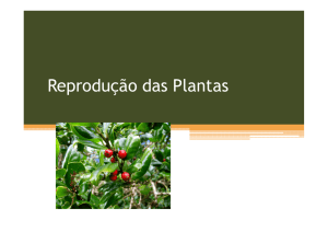 Reprodução das Plantas