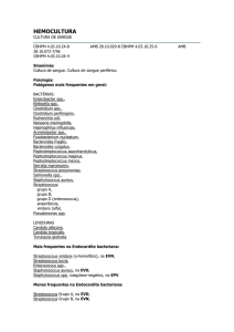 hemocultura - Laboratório Biolider