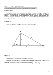 Razões Trigonométricas nos Triângulos Retângulos Arquivo