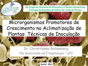 Microrganismos Promotes de Crescimento: Técnicas de Inoculação