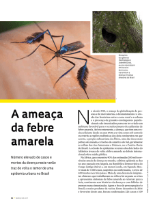 A ameaça da febre amarela