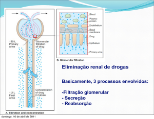 biotransformação2