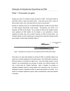 Deteccção de Sequências Específicas de DNA