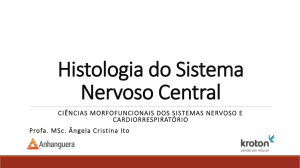 fibras neur&ocirc;nios -tipo